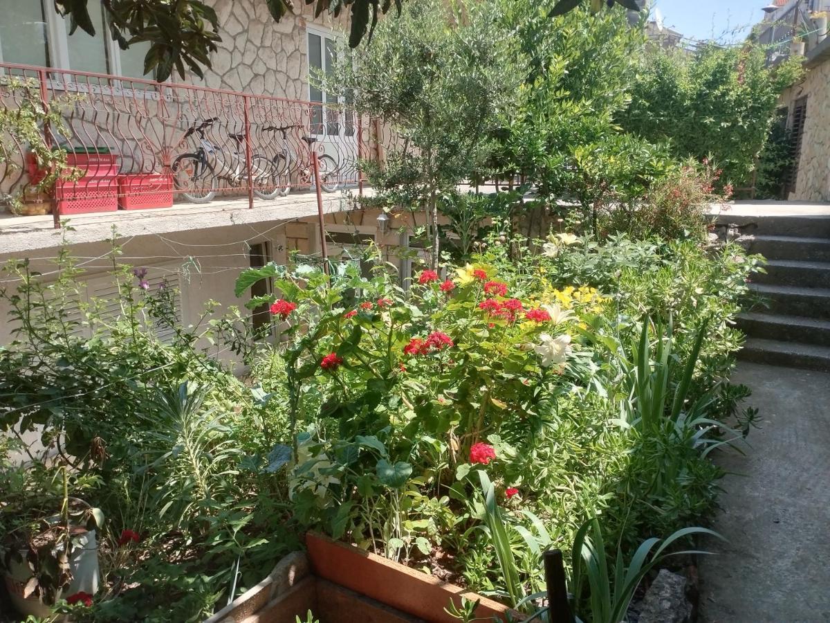 Apartments Piko2 Jelsa  Exterior photo